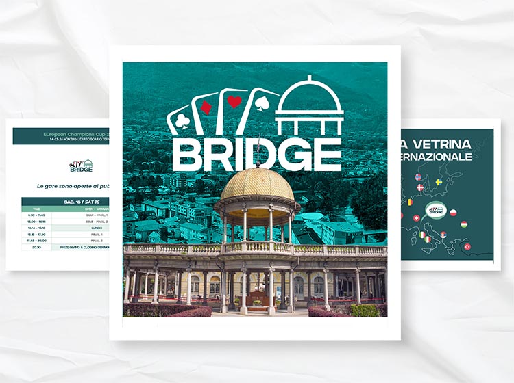 LR__0006_Project_Bridge_4